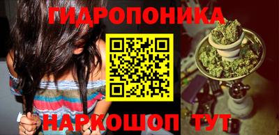 ПСИЛОЦИБИНОВЫЕ ГРИБЫ Заволжье