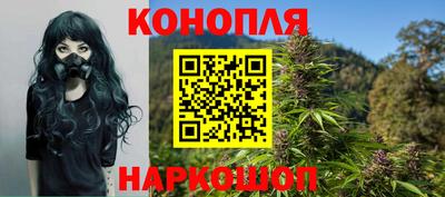 ПСИЛОЦИБИНОВЫЕ ГРИБЫ Заволжье