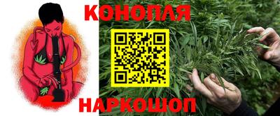 ПСИЛОЦИБИНОВЫЕ ГРИБЫ Заволжье