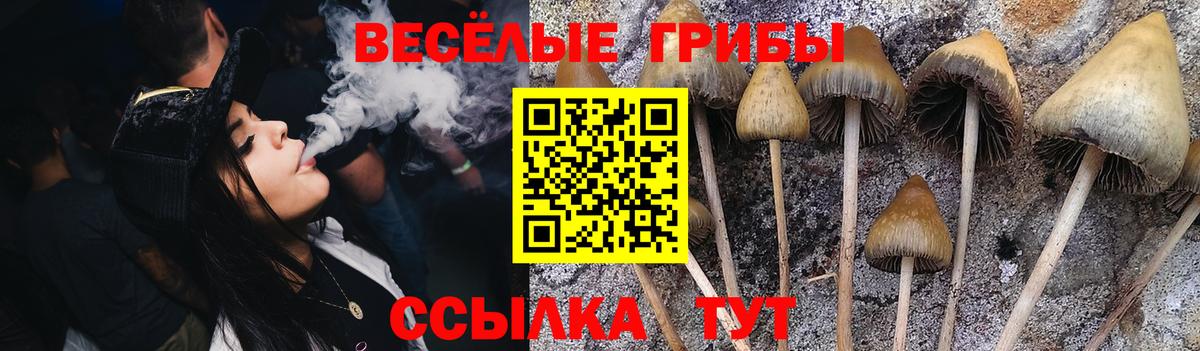 Галлюциногенные грибы мицелий Дербент